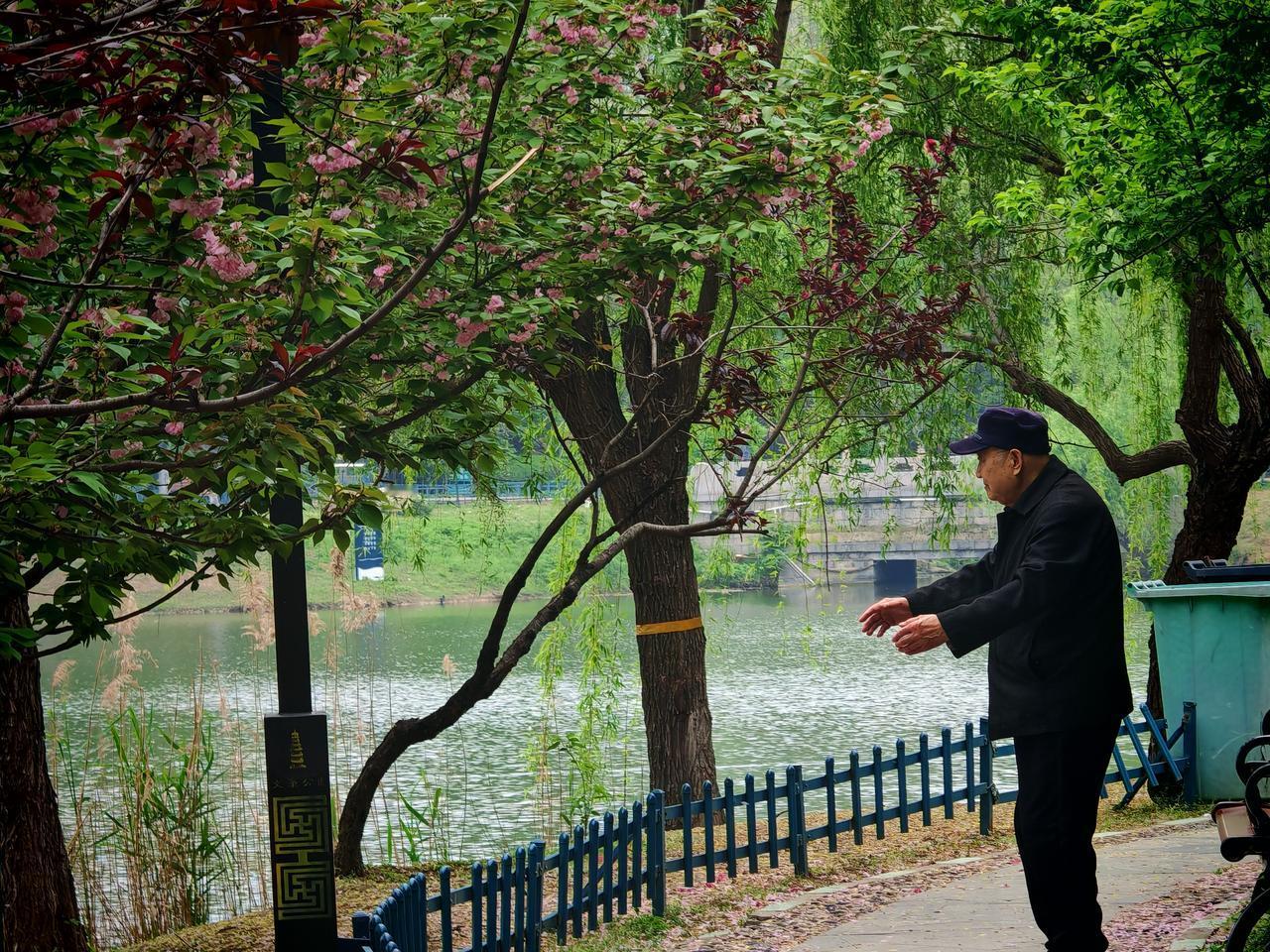 含苞待放，这词总能让人心里泛起温柔的涟漪。就像校园里那个扎着马尾的女孩，脸颊带着