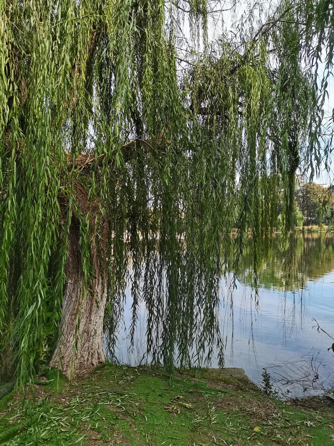 分享一张你无意间拍的照片