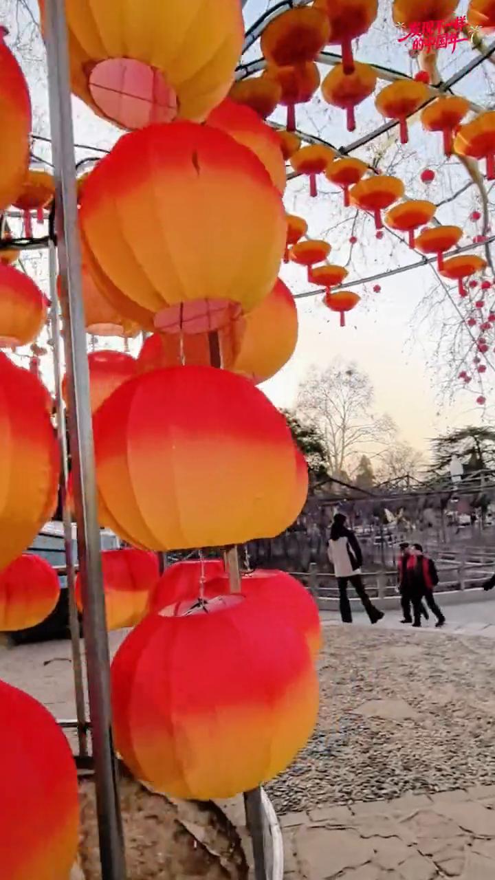 发现不一样的中国年。
灯光大门与仙女献艺，洛阳神都上元灯会亮点多，相约王城赏花灯