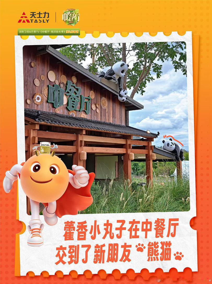 清迈湿热天中餐厅靠藿香祛暑中餐厅这季的滴丸解暑官挺忙  催营业的的风还是吹到了中