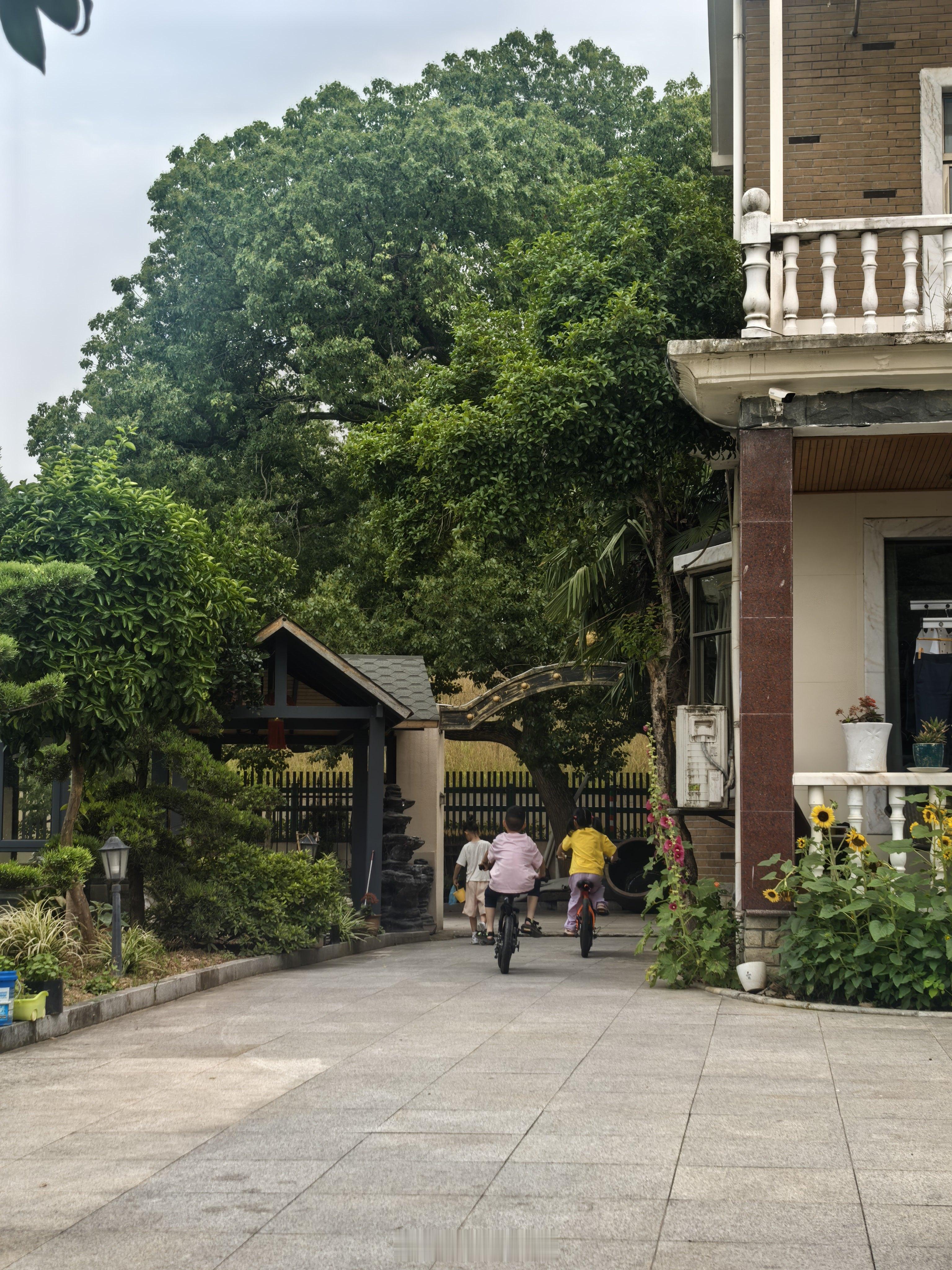 村子因为穿梭的孩子变得更美好我喜欢住村子里，愿村子一直存在 