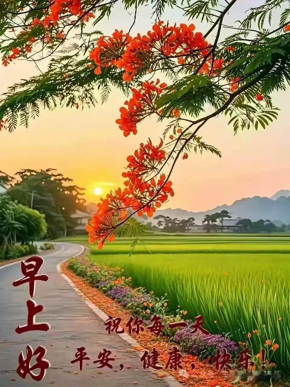 《卜算子·晨祝》

一笑启朝光，
尺素携佳愿。
软语殷殷寄安宁，
吉庆常相伴。