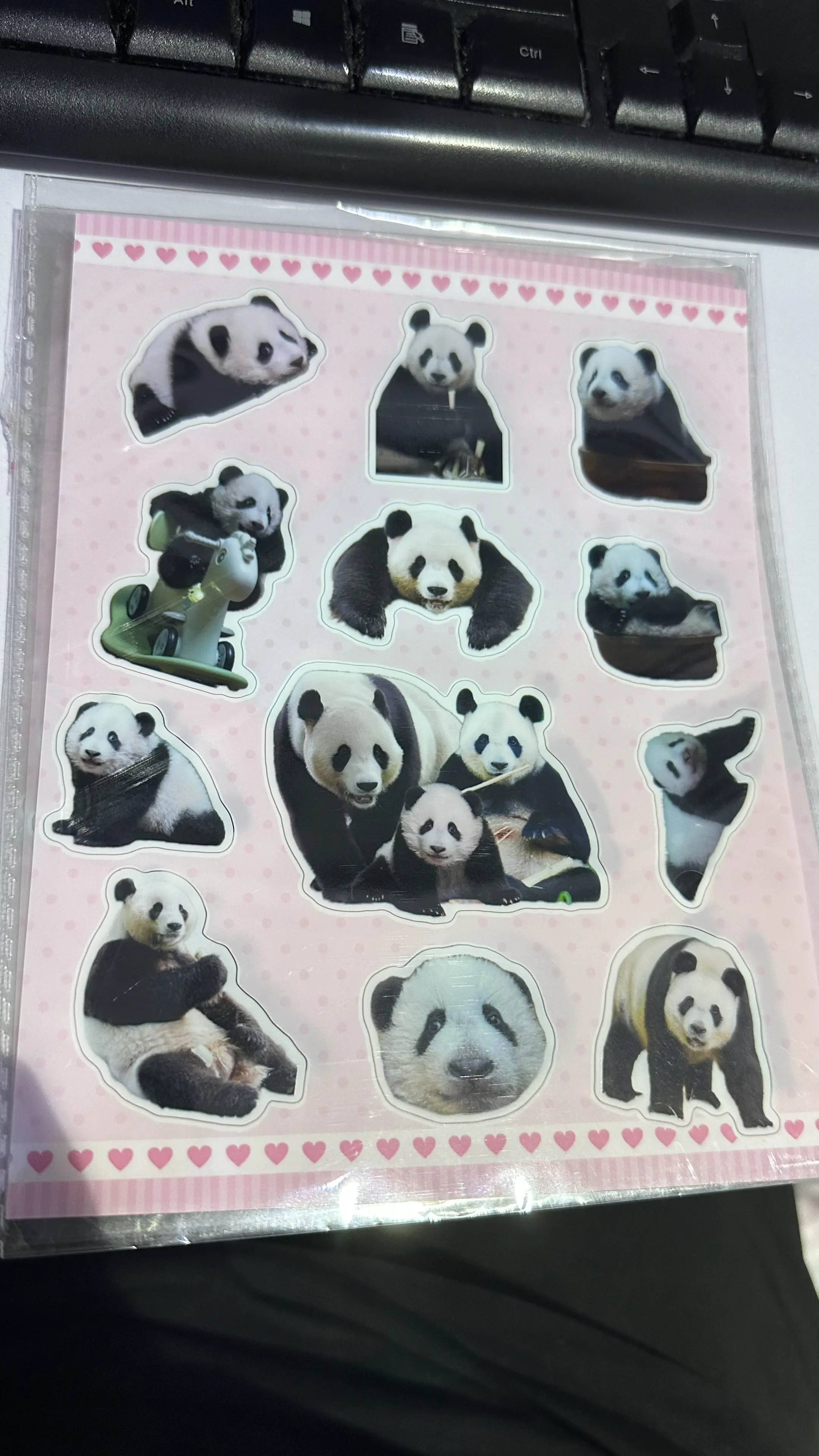 家和、萌萌、妹猪，一家三口的贴纸。好珍贵，只用来收藏，不舍得用了。（朋...