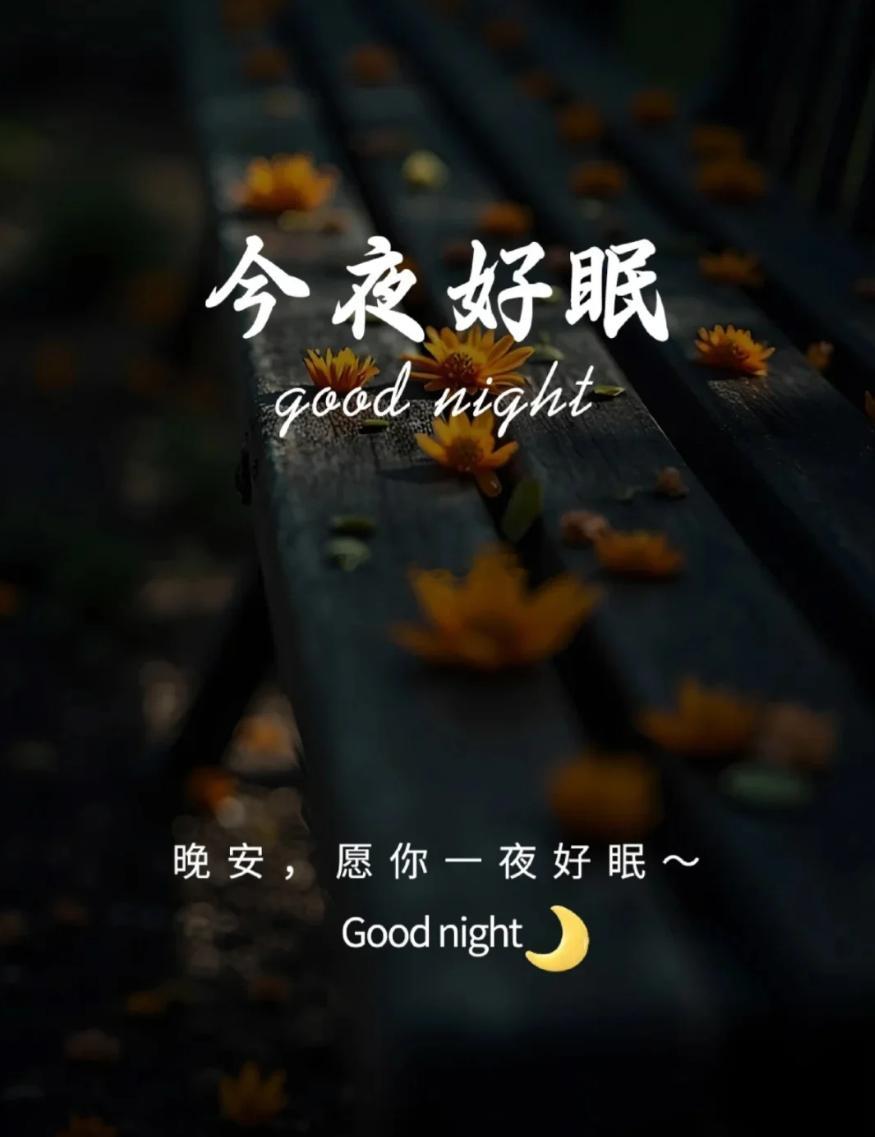 夜色沉静，放下日间行情的起伏得失。交易拼的是长远，不必纠结一时盈亏。静下心沉淀心