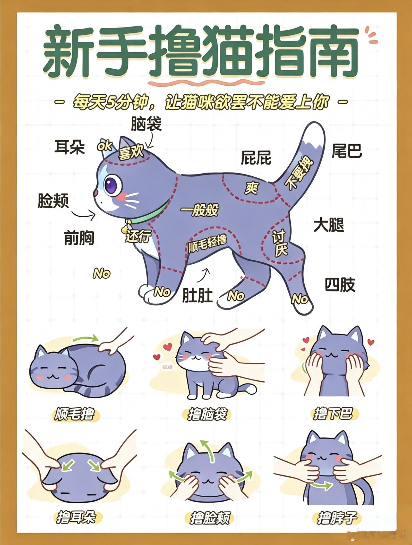 原神散兵夏日游趣狂欢季暑期故事集每天五分钟，让你的猫对你欲罢不能～散咪一身蓝紫软