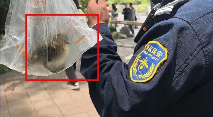 “真是胆大包天！”5月4日，杭州太子湾公园，一对中年夫妻闲逛途中突然俯身，迅速将