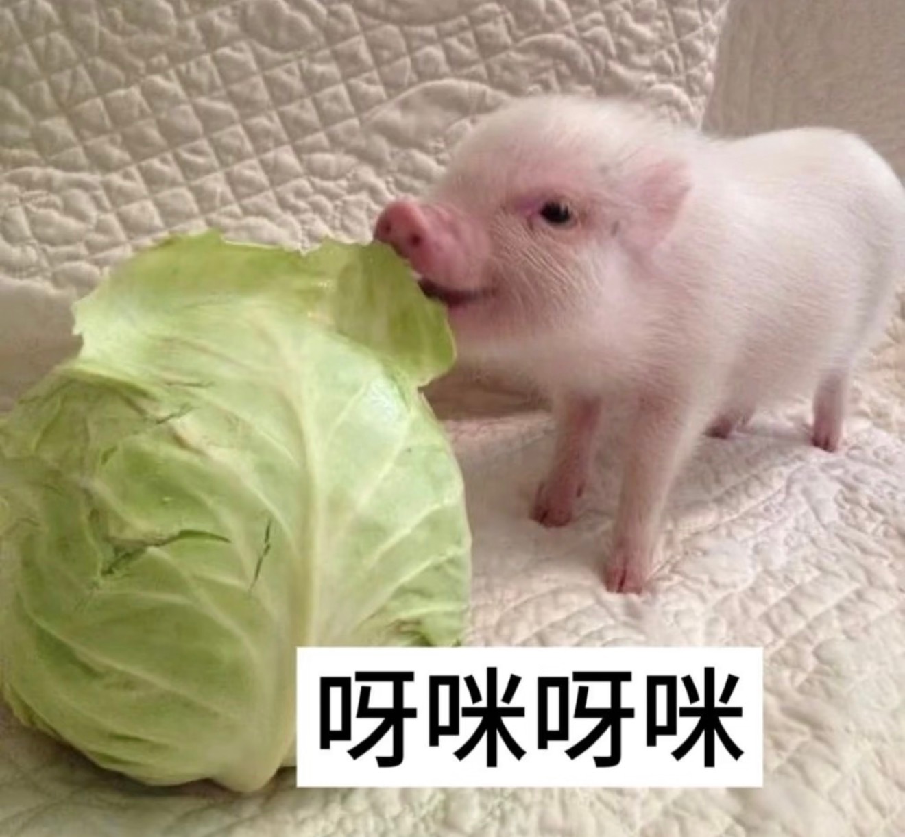 宵夜吃烧烤 凉拌皮蛋 还有芋圆丸[好爱哦] ​​​