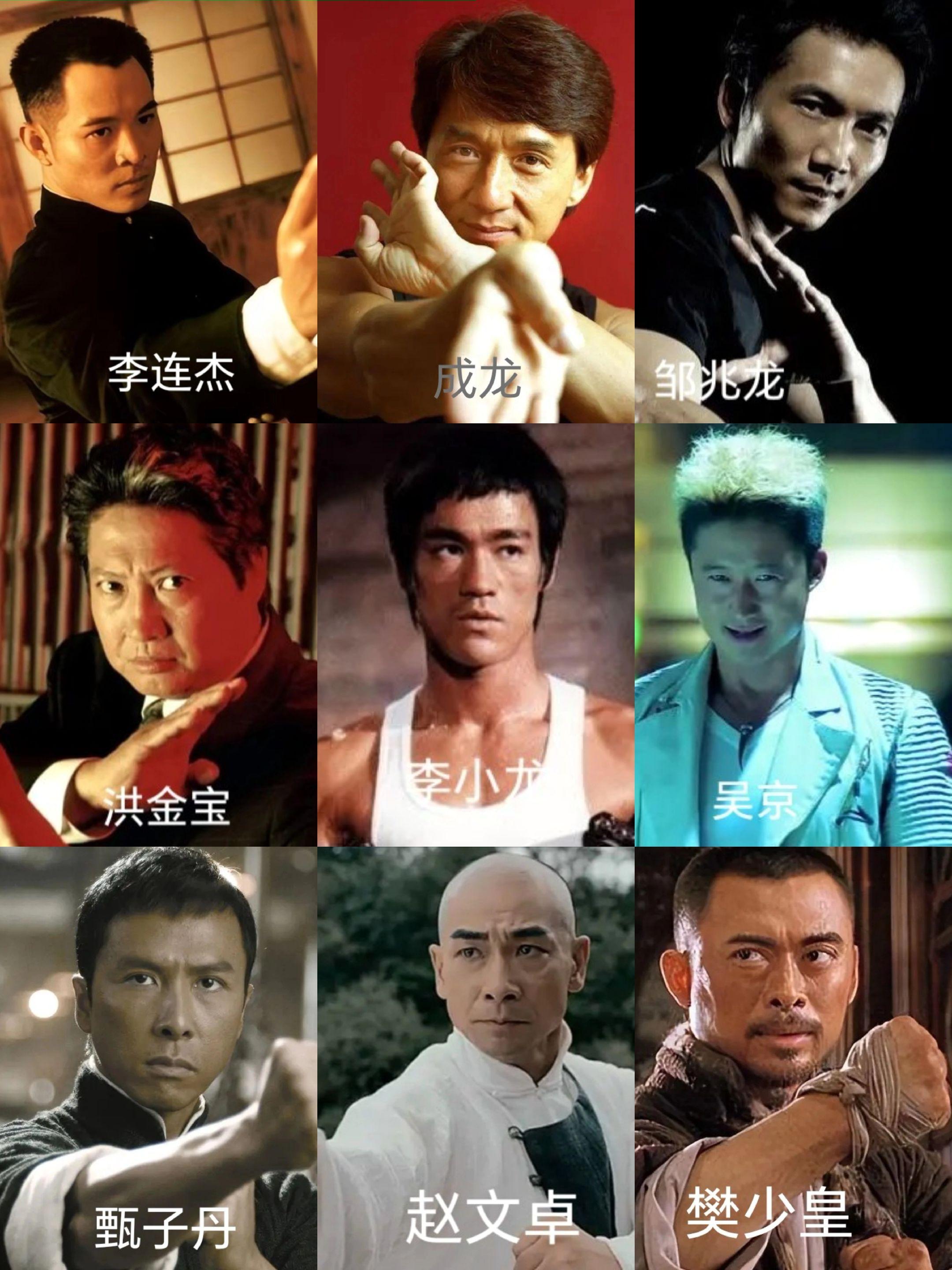 中国动作演员九选一。李连杰