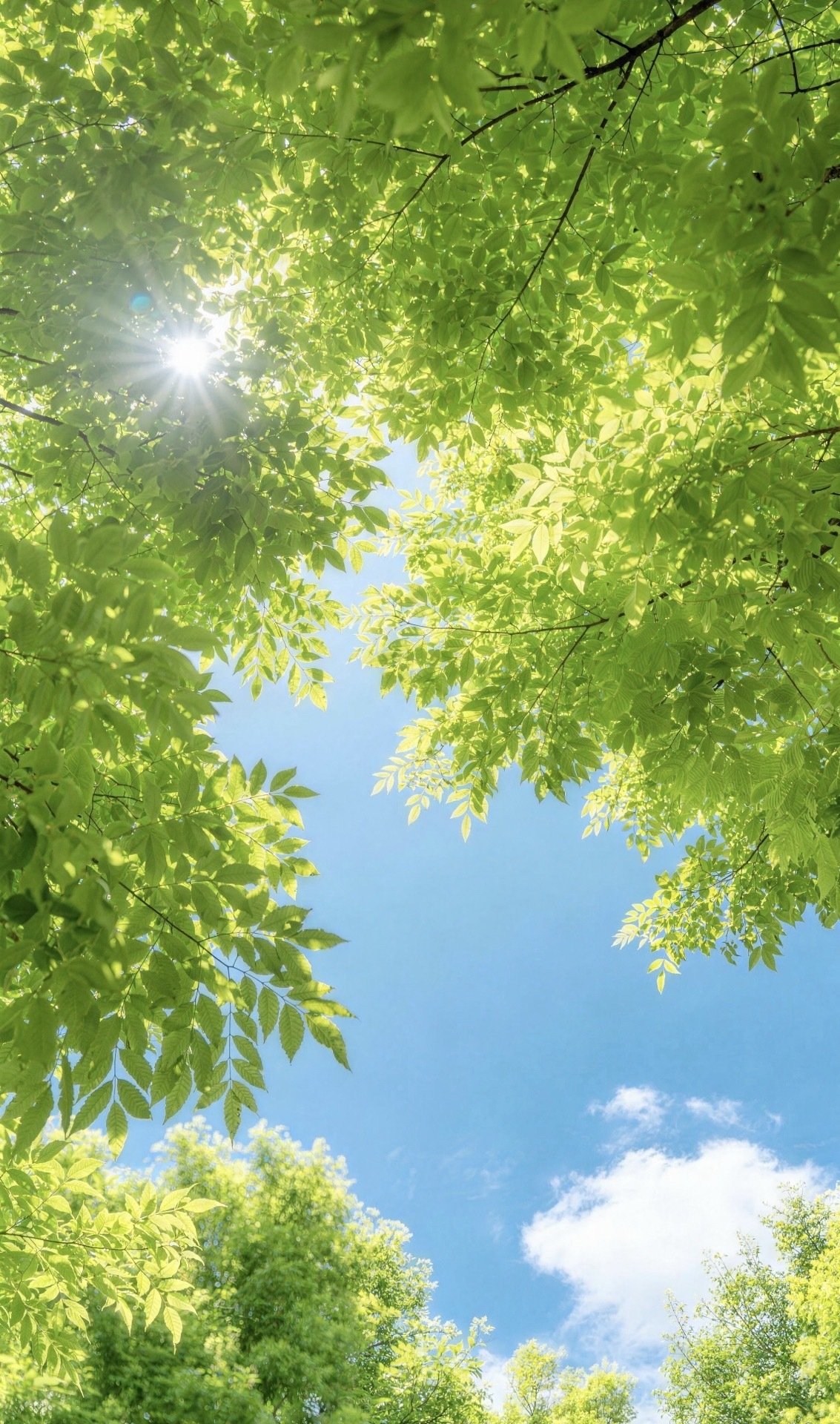 阳光信用 [太阳]每日一善 [老师好]走过路过帮忙善一善[期待]生活总会有酸有甜