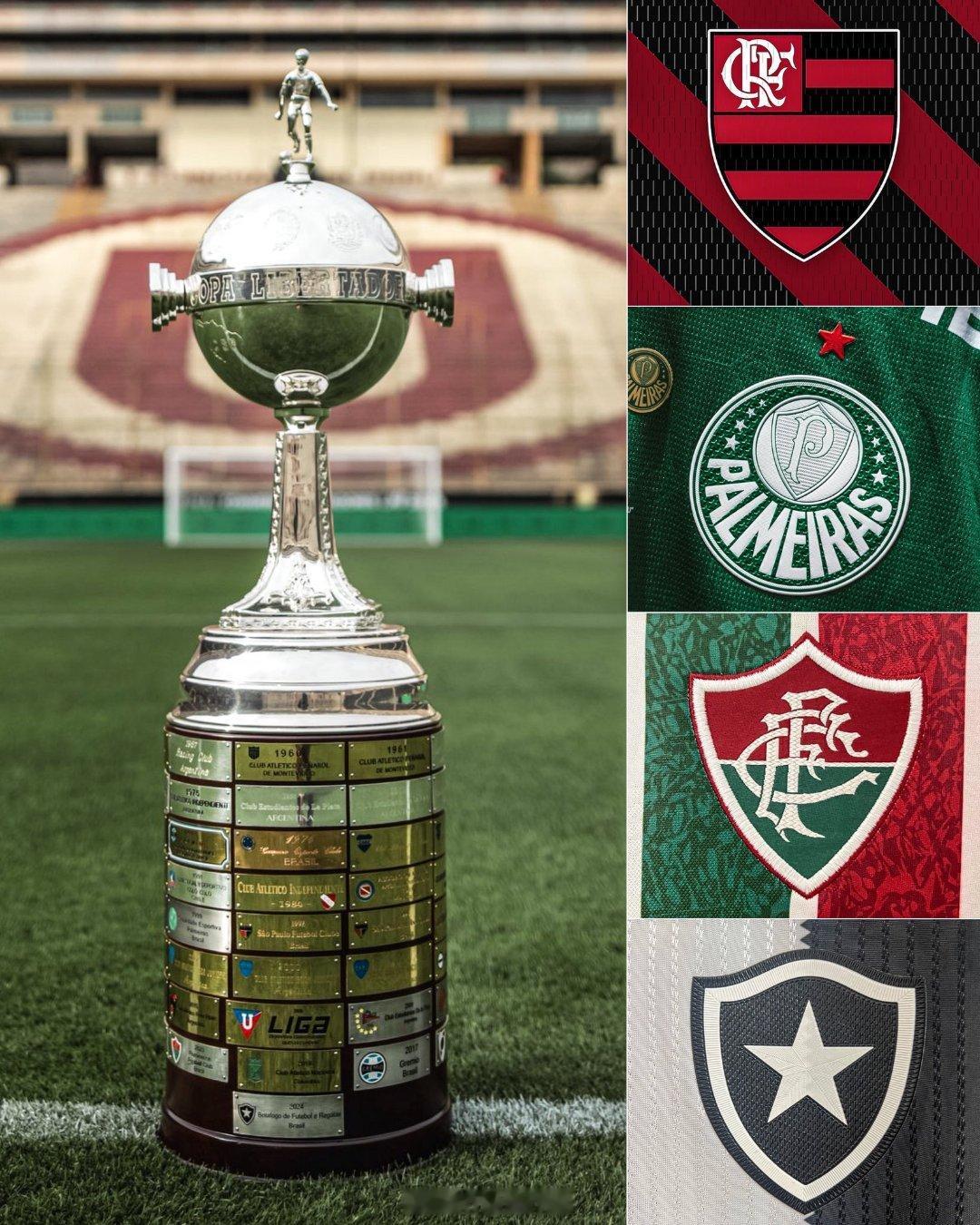 🏆🌎 巴西队连续七年夺得南美解放者杯冠军：🇧🇷2019：弗拉门戈🇧🇷