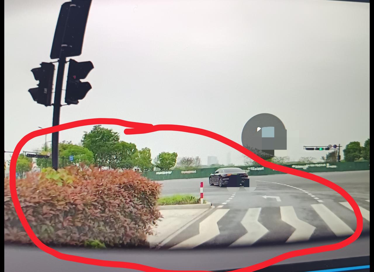 这灌木树非得种吗？刚才开车经过几个路口，发现中央绿化带直接连到了斑马线，这对小车