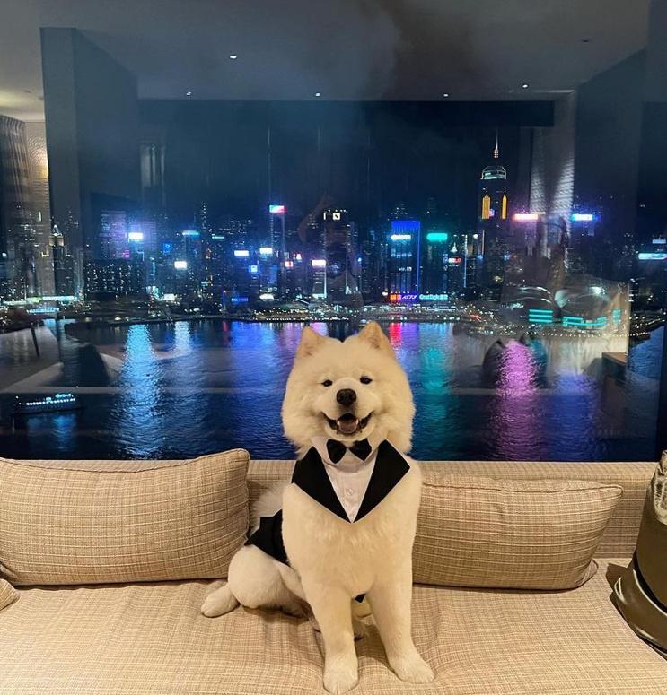 人，准备好迎接2025了吗 