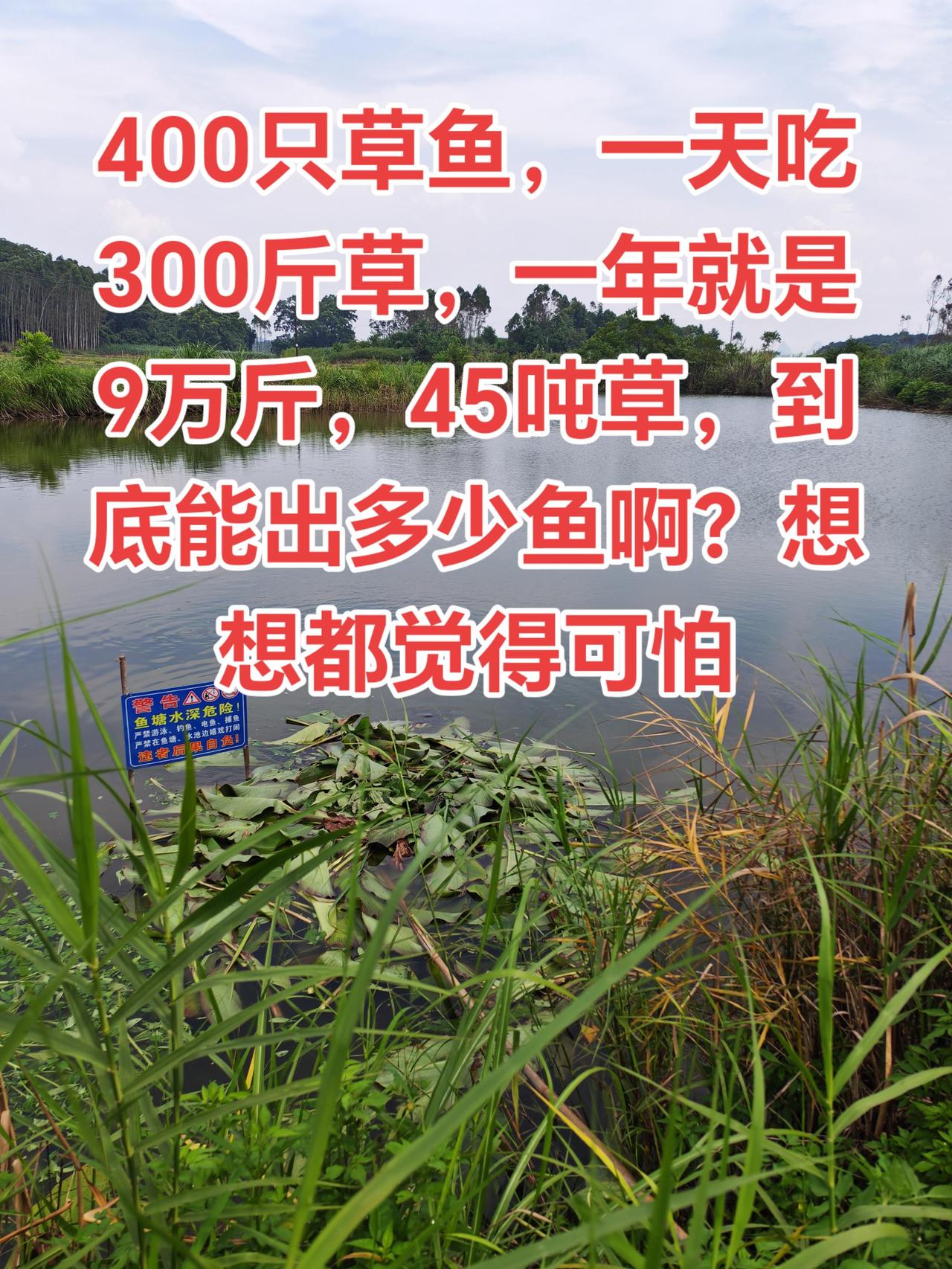 养鱼不是人做的，现在想都害怕了养鱼 养鱼日记 三农 防溺水教育传递正能量