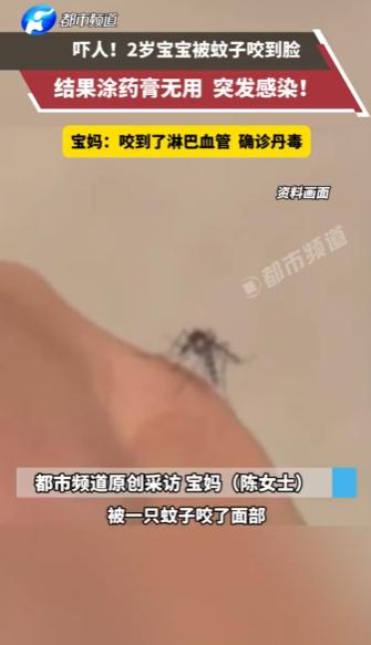 “太可怕了！”江苏一位陈女士怕孩子被叮咬，因此驱蚊液、防蚊贴、驱蚊手环一应俱全，
