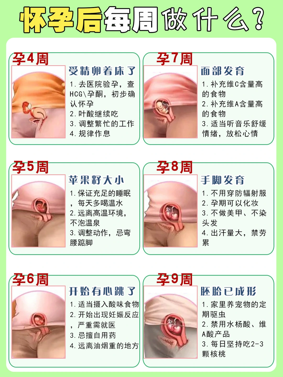 准爸妈必看！怀孕后每周要做的事，你知道吗？