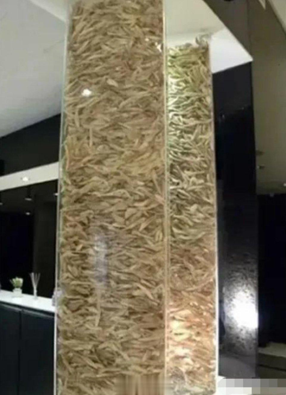 #韩国整容中心门口的鼻子墙#卧槽，韩国整容医院除了有下巴骨柱，居然还有鼻子墙！ 