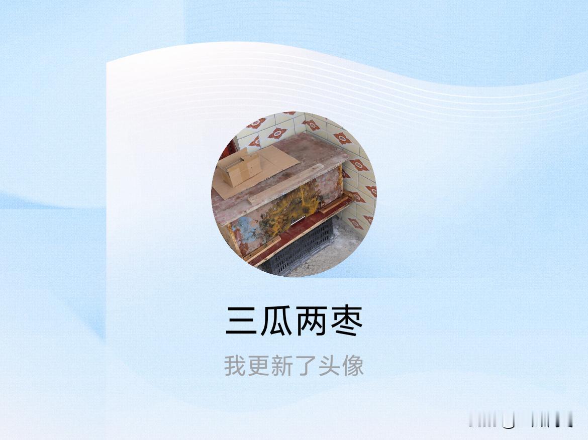 快来看看我新换的头像吧