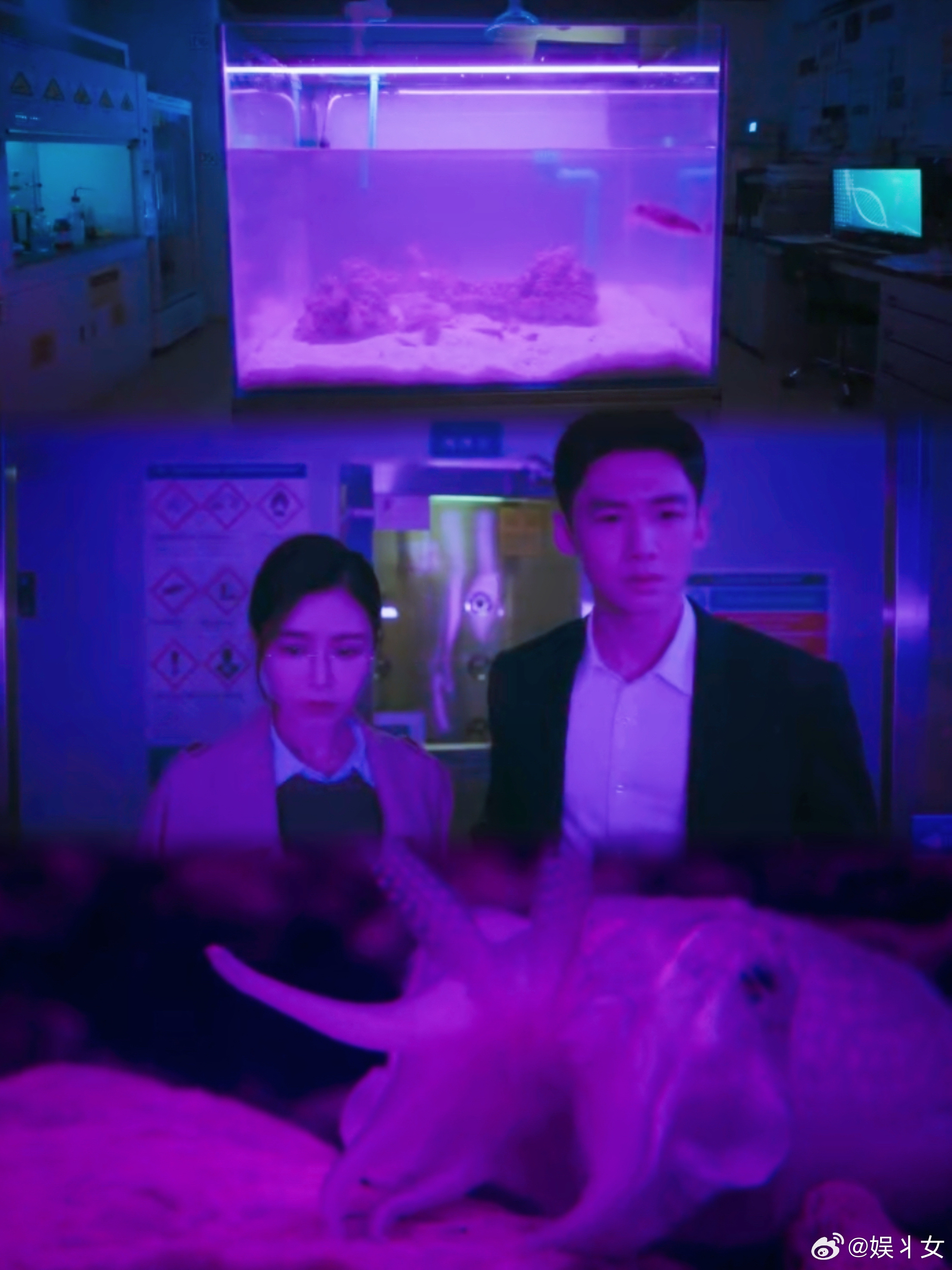 没到大结局男女主下线了 还好不是最终结局，期待了。 ​​​