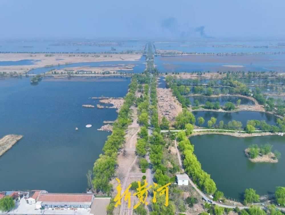 仲春时节济南白云湖湿地公园烟波浩渺、苇丛遍布！4月1日，仲春时节，济南白云湖国家
