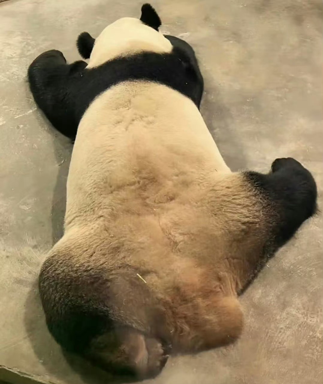 一下午都在讨论案件给某总分析案件会出现的情形及诉讼应对策略……三套诉讼方案介绍完