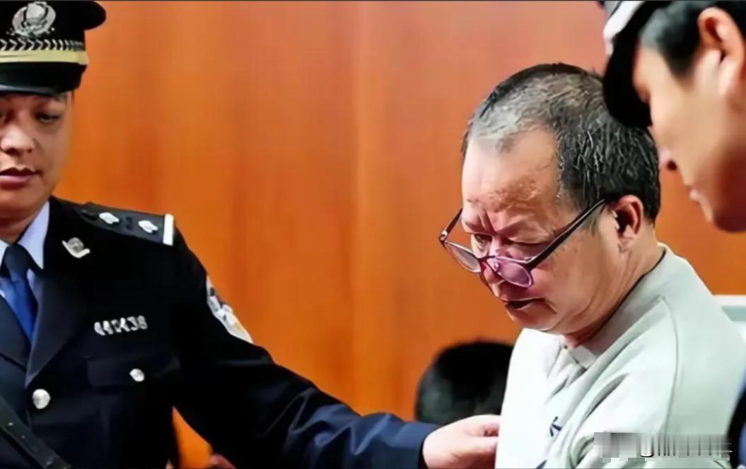 网友热议：掏鸟窝被判十年，电力局间谍局长仅获五年，而窃取我国杂交水稻稻种者仅受罚
