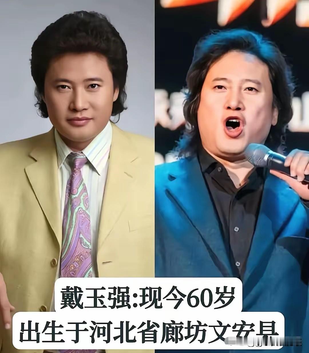 国内实力派歌手，戴玉强有着"中国第一男高音"的美誉，嗓音高亢透亮，气息稳如磐石，