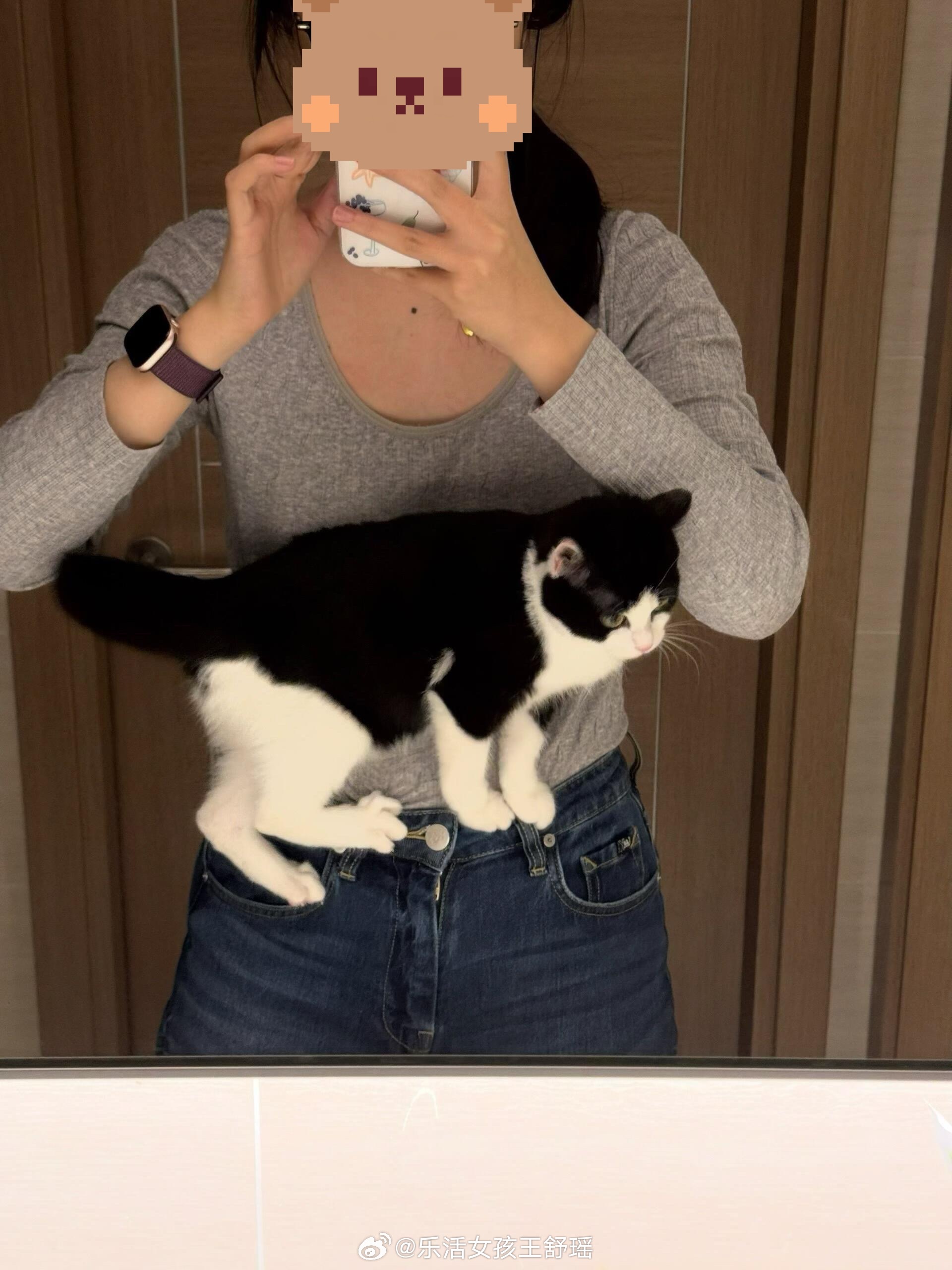 养到了猫届的岩羊谁家好猫在人身上飞檐走壁呀在溺爱这方面养宠人和爷奶辈有得比春风里