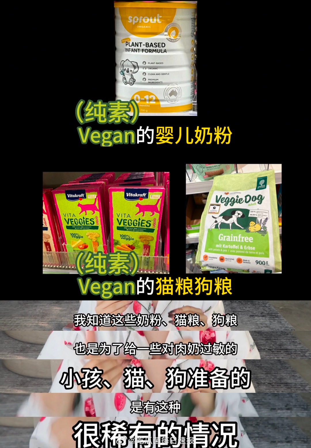 BB大王做了一期讲素食主义者的视频，说汉密尔顿要求他的狗也吃素。对此汉密尔顿的粉