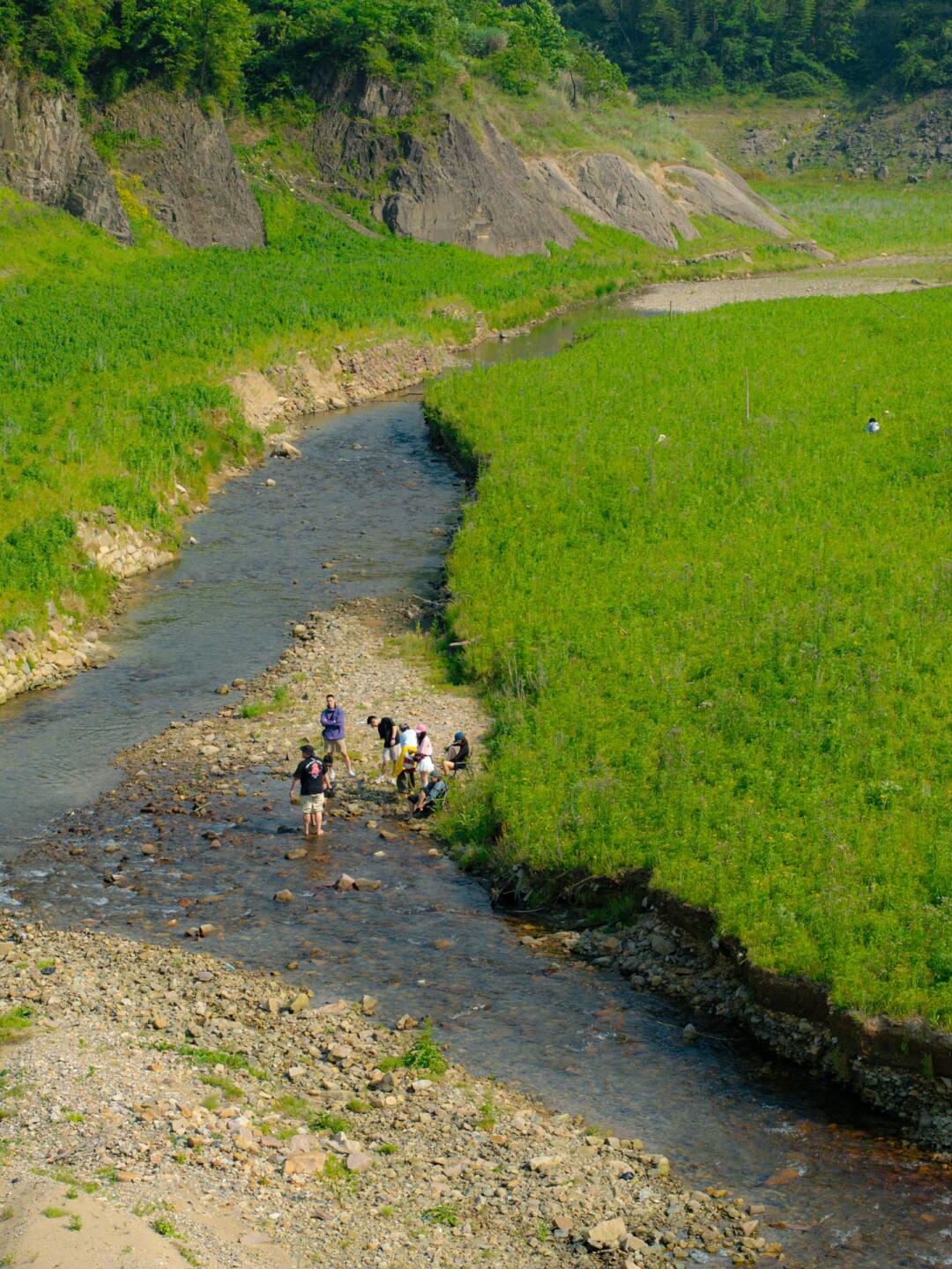 在乐清｜找到了迷你版“巴音布鲁克”～哈哈！