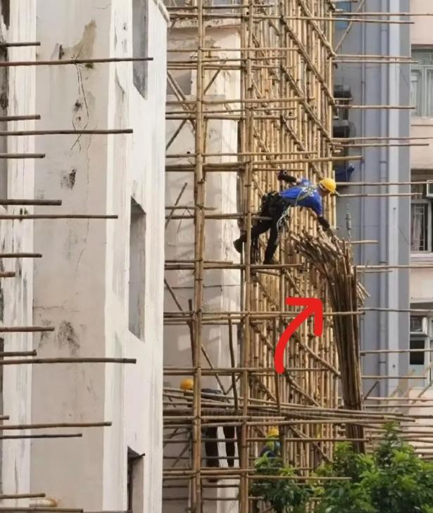 香港为何一直使用竹制脚手架？并不是因为落后，也不是因为省钱，而是有竹子协会。
 