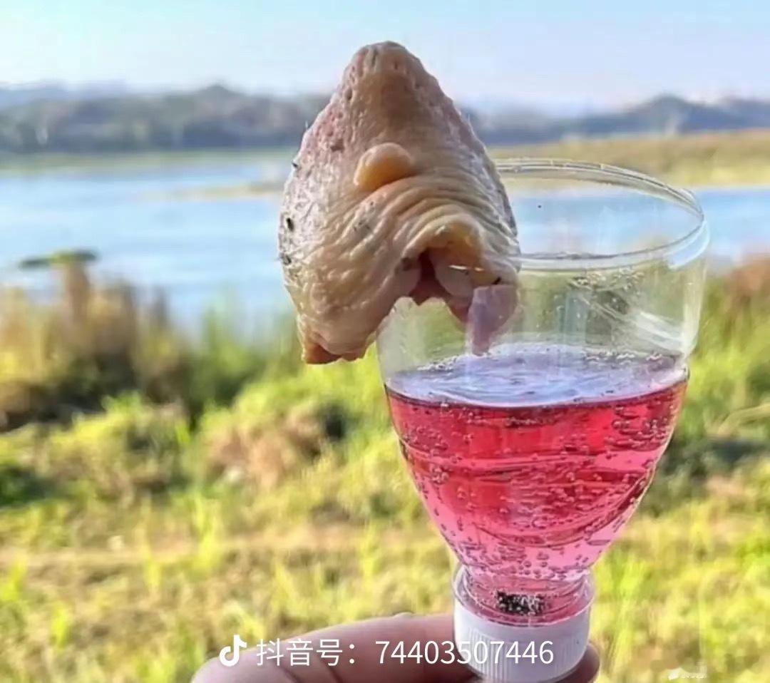 这才是真正的鸡尾酒