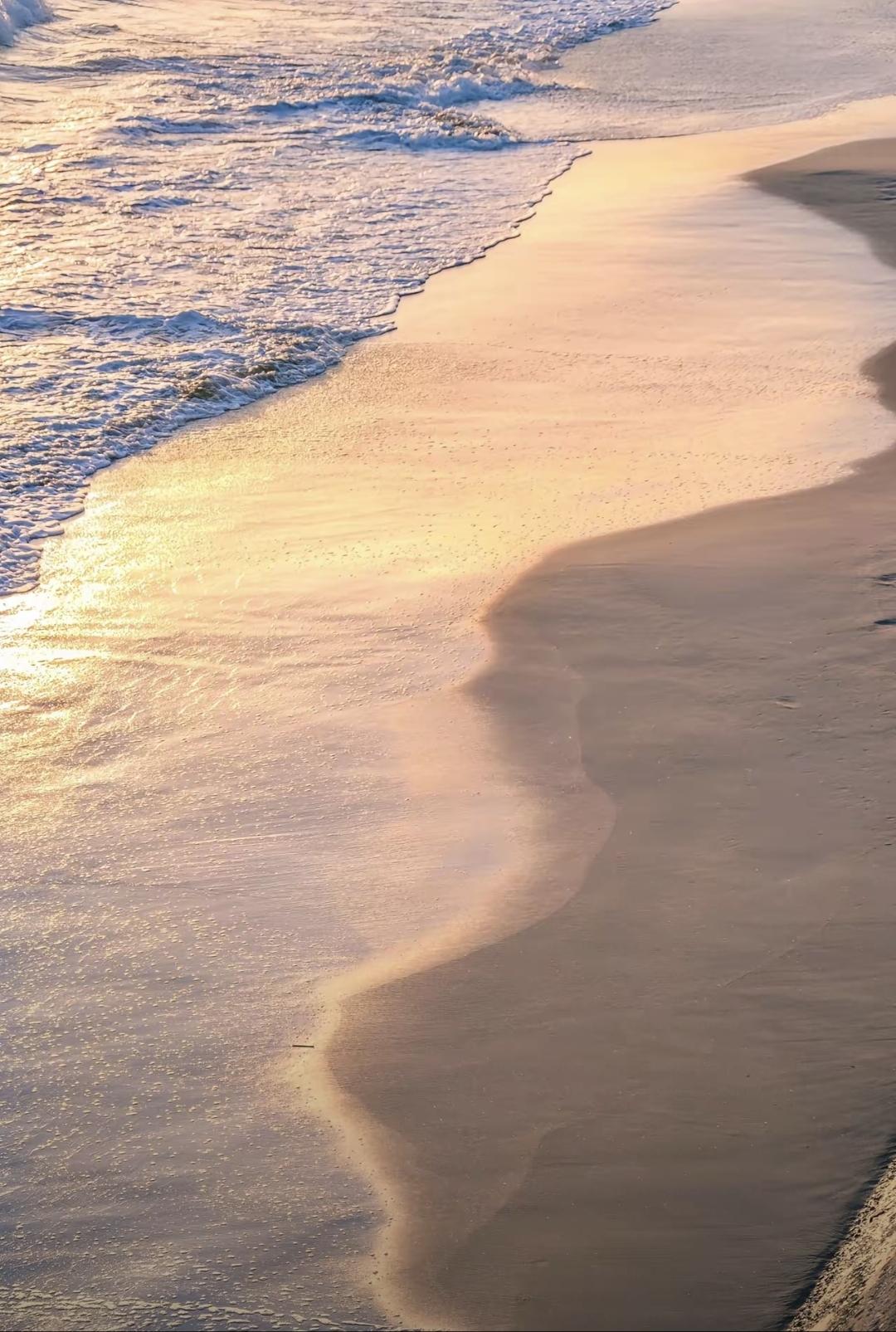中传这次不是简单删专业，而是把翻译、摄影这些老专业拆开重组。有的停招，有的合并，