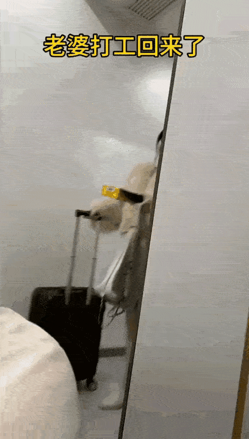 倦鸟归巢！
在外又飘泊了一年，尝尽了世间冷暖，饱受着人前背后的心酸，忍耐着离别之