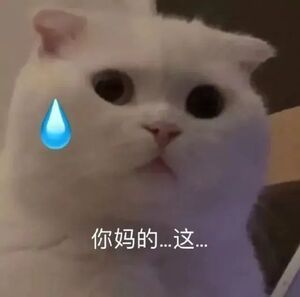 女子生理期弄脏店家多件新衣后拒买 为啥我觉得就是故意的啊，那几天疼的要死，起坐都