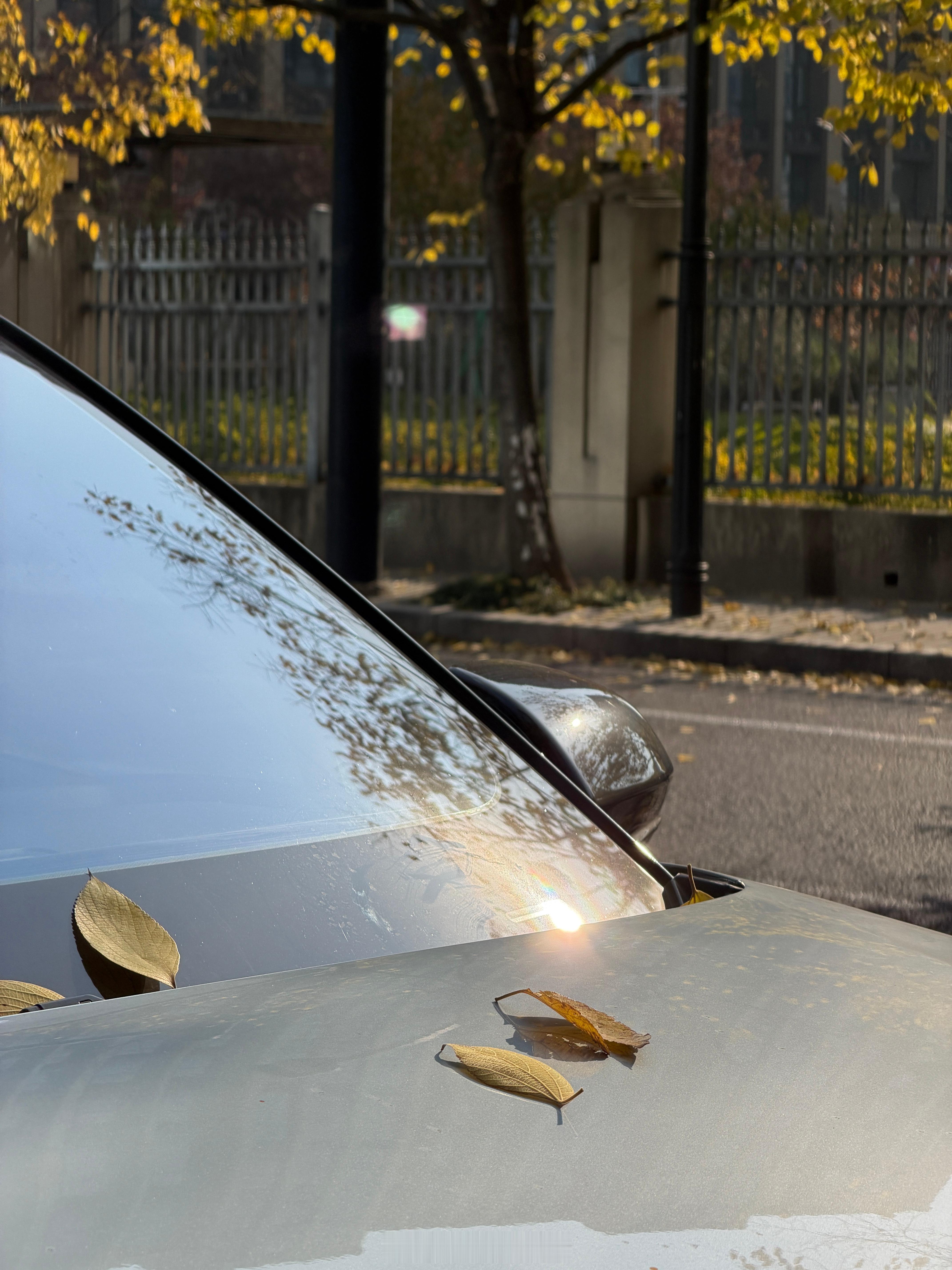 一叶知秋，正玉律，新吹夷则。迟三日。只需要前面四个字一叶知后面都是自动生成 