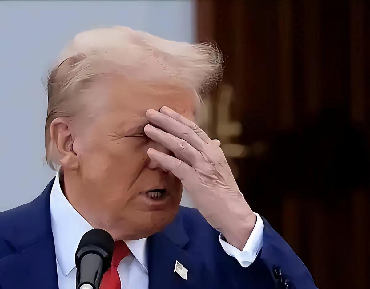 特朗普的心情应该糟糕透顶，几十亿美元的预警机就这么报废了，无人机的威力越来越大。