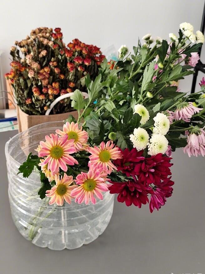 在心里种花 人才不会荒芜🌸 