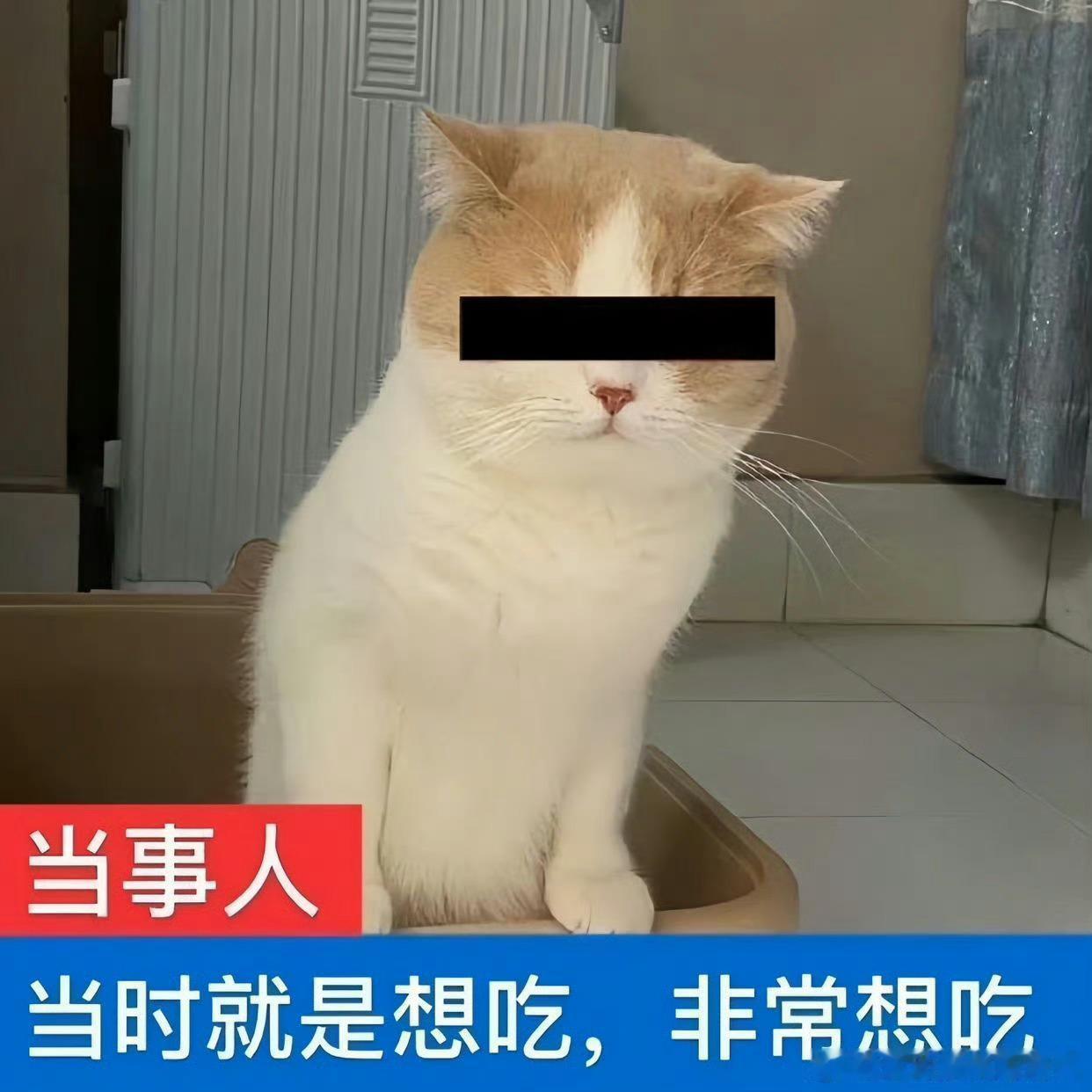 这个时间点了，是不是有朋友正在回家的路上，或者是已经到家了[坏笑]那来随机聊聊，