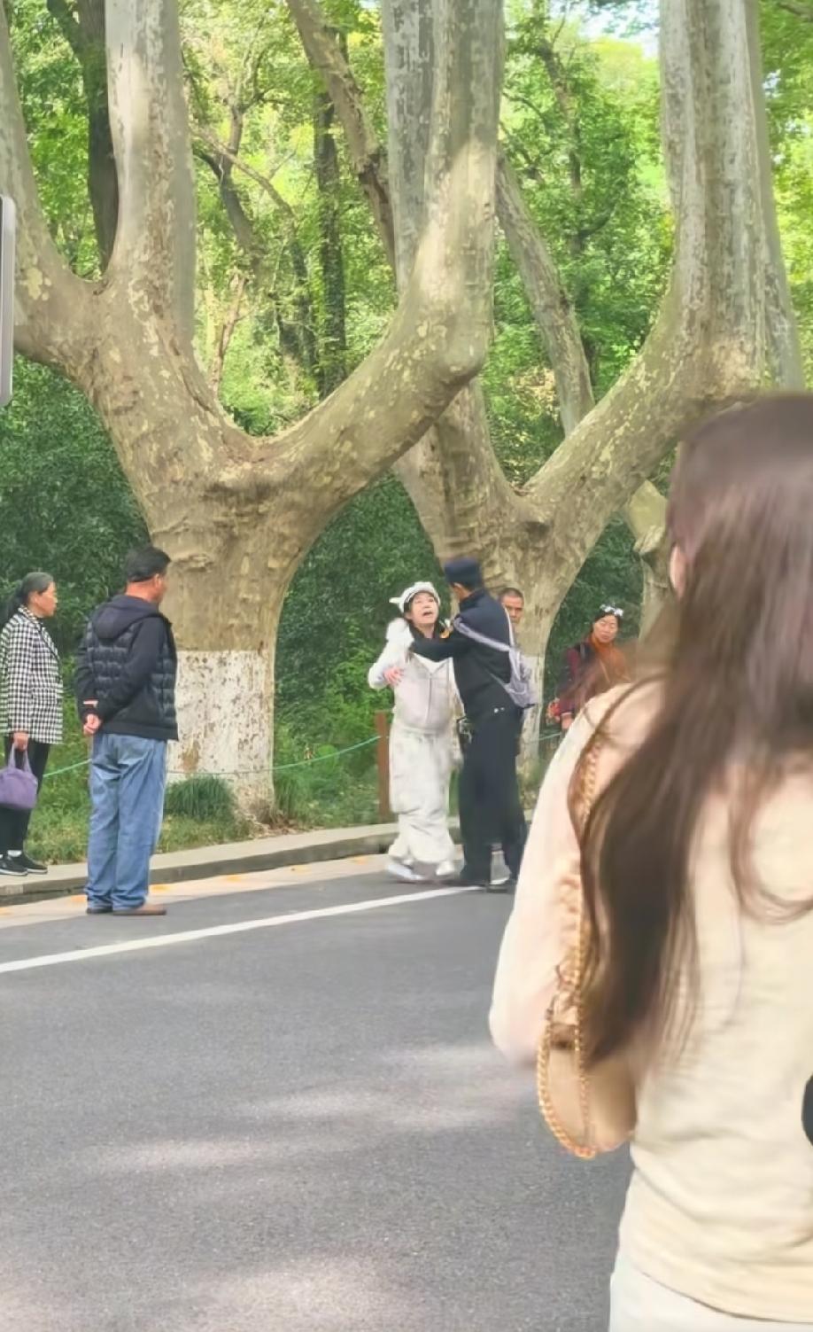 南京钟山梧桐大道，商拍小姐姐被劝离，非要叛逆抗拒执法，最后据说被蜀黍带走了…… 
