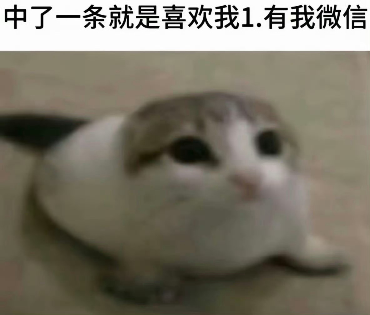分享图片 