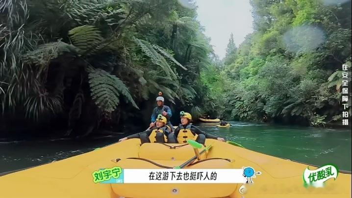 宁哥直播里纠结“30还是50”那个皱眉表情我存了图，正片周也一报数他嘴又白一度，
