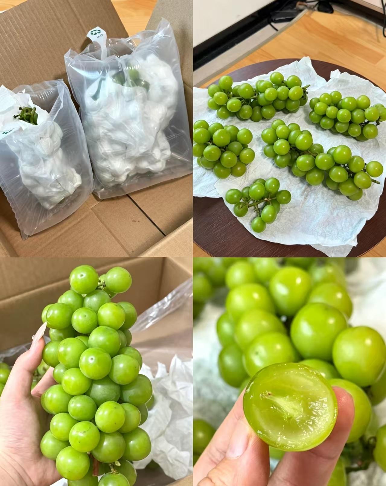 如此完美的一大箱阳光玫瑰才𝟏𝟒块钱！？ 