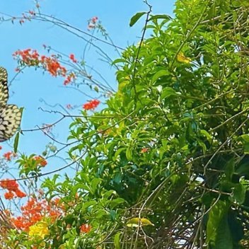 每日一善  每日一善   阳光信用 人生就那么短，不要为了变成别人喜欢的样子，委