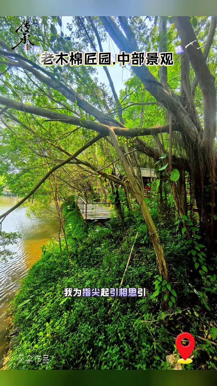 老木棉匠园中部景观风伞作品。
一瓣瓣花随风飞舞，最后落满地。我的掌心写满叹息离别