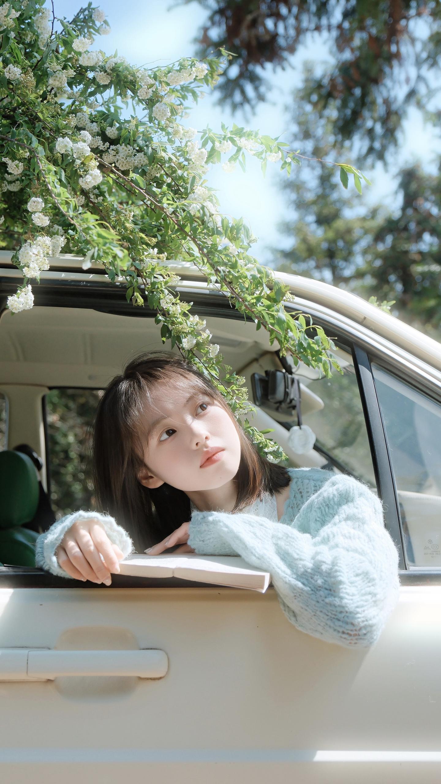杳杳春来时🍃。富士机内参数 滤镜：CC 白平衡：白色优先 曲线：H-...