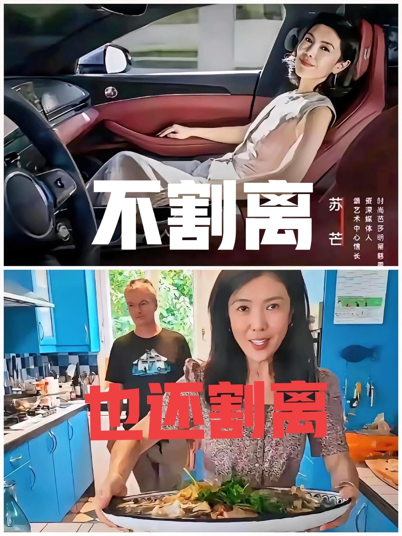 有点好奇，苏芒和广汽之间这笔账是怎么算的。她们合作的商业模式内涵到底是什么？一个