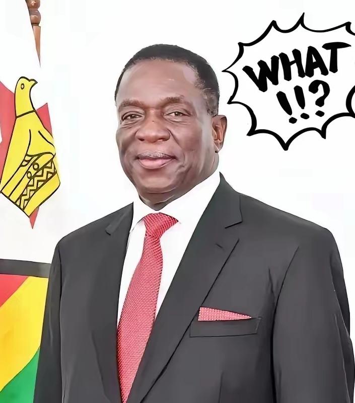 前脚巴拿马不顾中方反对，强行接管了巴拿马港口，后脚津巴布韦突然宣布暂停锂矿出口。