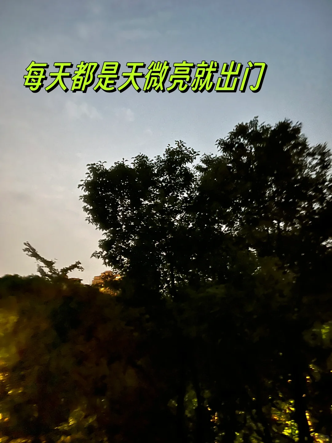 43岁晨练打卡第49天｜每天比太阳起得早！