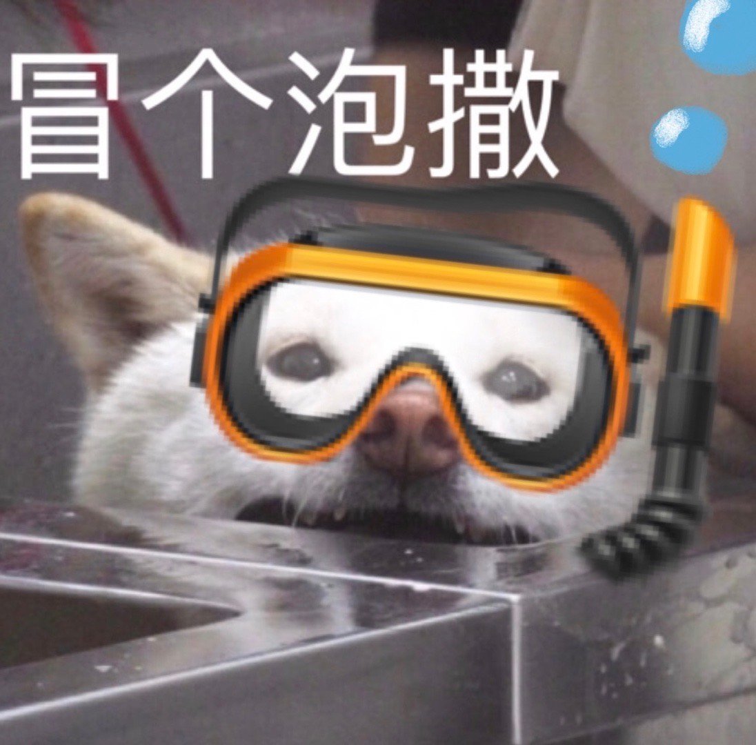 心情日记 不敢想象是有多忙碌且丰富的八月啊！！！！！ 