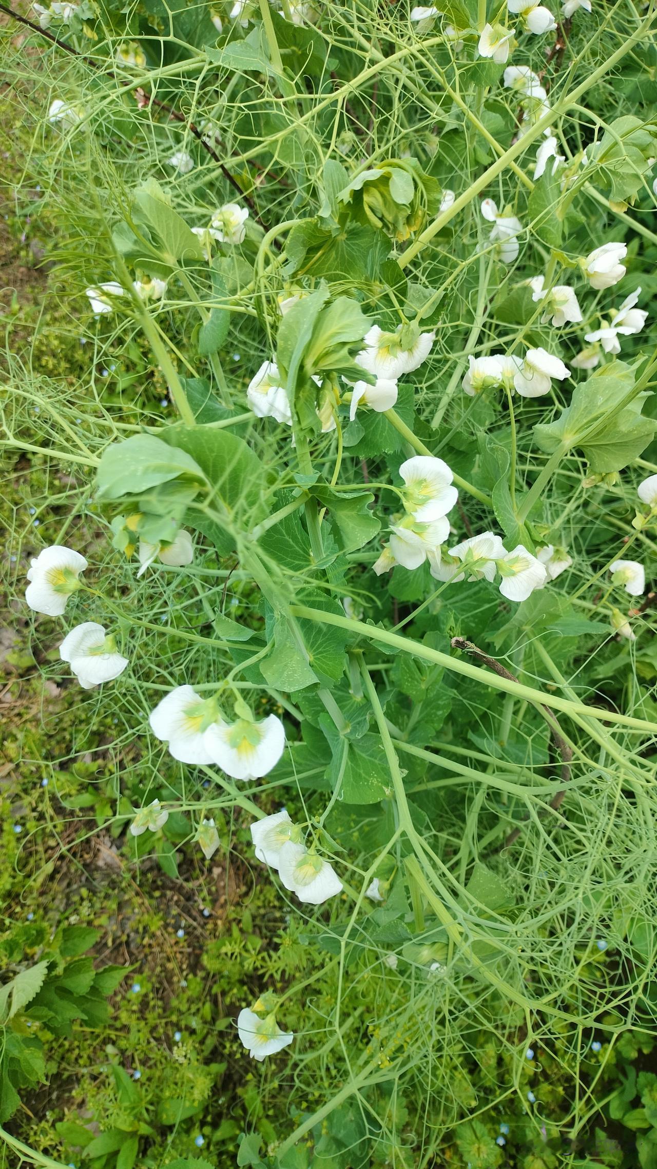 看一个女人，除去她的皮囊，你还愿与她相处，那她便是值得的人；看一个男人，抛开他的